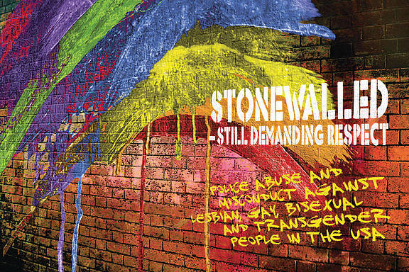 Stonewalled - Amnesty Report, Cover-Bild